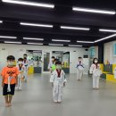 경희대 유림태권도장 이미지