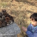 동신민박 이미지