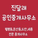 진달래공인중개사사무소 이미지