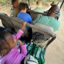 사파리 - 사상구 사상로233번길 10-7 | [MALAWI] 블랜타이어 근교여행 사파리 후기 _Majete Wildlife Reserve