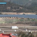 평화3태양광발전소 이미지