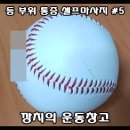 통증 잡는 마사지볼 이미지