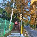 월영동272 이미지