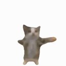 해피캣 이미지