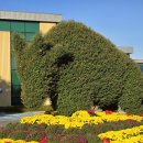 월출산천황사맛집식당 펜션 | 영암 월출산 국화축제 여행, 기찬빌리지 숙박 후기