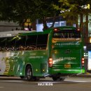 푸른솔관광 이미지