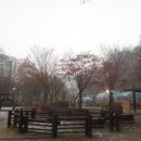 우면생태놀이터 이미지