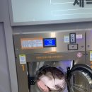 영대세탁 이미지