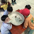 신진병설유치원 이미지