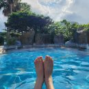 대중목욕탕낙원 | 제주 온천 추천 산방산 탄산온천 겨울 후기 수영복 대여 준비물 할인 정보