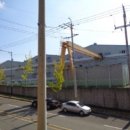 정촌면-3 이미지