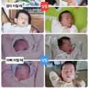 손톱마녀 | 신생아 육아, 역시 육아는 실전 [기저귀, 트림, 용쓰기, 게워냄, 목욕, 잠투정, 성장급등기, 손톱 등]