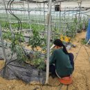 진형농장 이미지