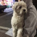 선주동물병원 이미지