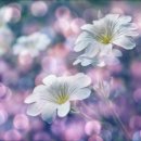 감성과학 이미지