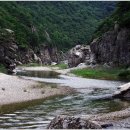 왕피천생태탐방로 이미지