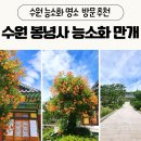 봉녕사 - 934 | 수원 여행 능소화 명소 봉녕사 방문 후기