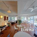 커피와소나무 | 간판 없는 제주 찐맛집? 소나무커피 | 웨이팅 하기 전에 꼭 가봐야 할 신상 카페 후기
