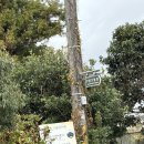 평화동복지회관 | [제주 내돈내산] 김종호 양파튀김 ‘양가형제’ (햄버거 양파튀김 대존맛)