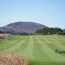 사이프러스골프리조트 | 제주 사이프러스CC 4인 플레이 부킹 후기