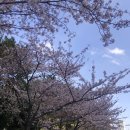 부경대학교 청운관 이미지