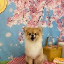 아토살롱 이미지