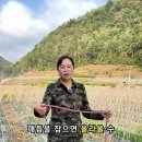 @HomiLab_kr 구독 위급할 때 3초 만에 밧줄 매듭 여러 개 만드는 법! 😲 이미지
