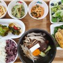 초이스최의원 이미지