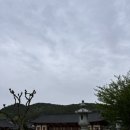 송광사 | 전북 완주 여행와서 가볼만한 사찰 부처님오신날 후기 송광사