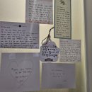 벨라테스앤피티 이미지