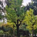 가좌공원 이미지