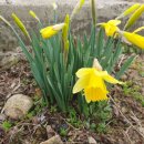 봉오리농장 이미지