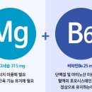 (주)위드씨엔에스 네이버블로그