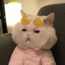 엠마에스테틱