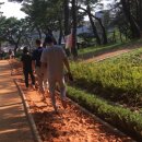 배산체육공원 족구장 이미지