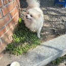 일월천로 이미지