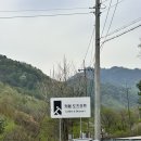 원주 신림 대형카페 애견동반 가능 &lt;카페도즈오프&gt;