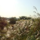 의왕농장 이미지