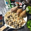 대구 성서 신당동 포차 백고등밤포차 대나발숙회 후기