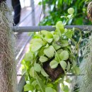 상동호수공원 이미지