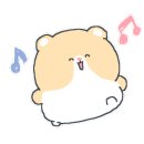 프랜치(Frenchie) 이미지
