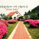 하이디민박
