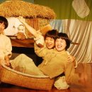 오돌또기 티스토리