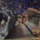 빛을 만나다 | 캘리포니아 어드벤처 마지막 여정 : 바람을 타고, 물을 가르고, 빛을 만나다