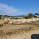 남해-194 이미지