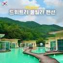 드위트리 풀빌라펜션 & 카라반가든 | 강원도 정선 드위트리 풀빌라펜션 4인 Villa07 숙박 후기