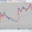 엘에스메디칼 이미지