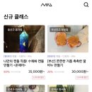 에코아일린