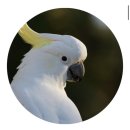 (주)태이건설 | 호주 여행 06 :: 멜버른 근교 여행/ 세계 100대 여행지 그레이트 오션 로드 데이 투어