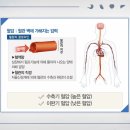 가슴편한내과 티스토리